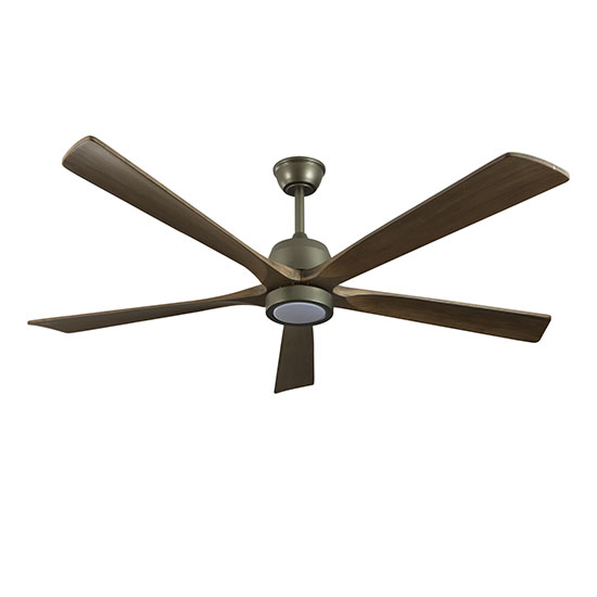 Ceiling Fan with Light
