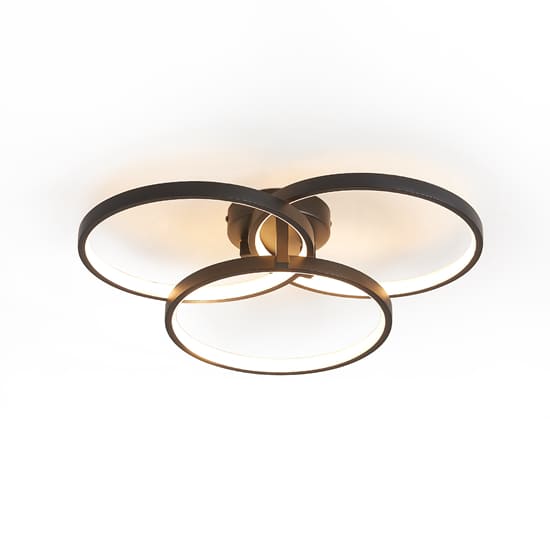 Ceiling Lights