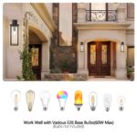 1 Set Farmhouse 1-Light Outdoor Wall Sconce – Black Exterior Lantern for Porch or Front Door