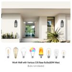 1 Set Outdoor Wall Light Fixture – 1-Light Black Lantern with Built-in Sensor, Waterproof